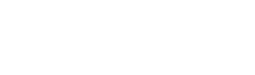 Savvy White Logo